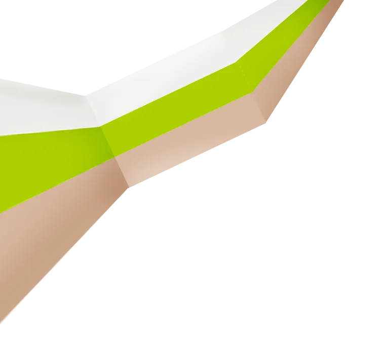 Bande tricolore blanc vert et beige